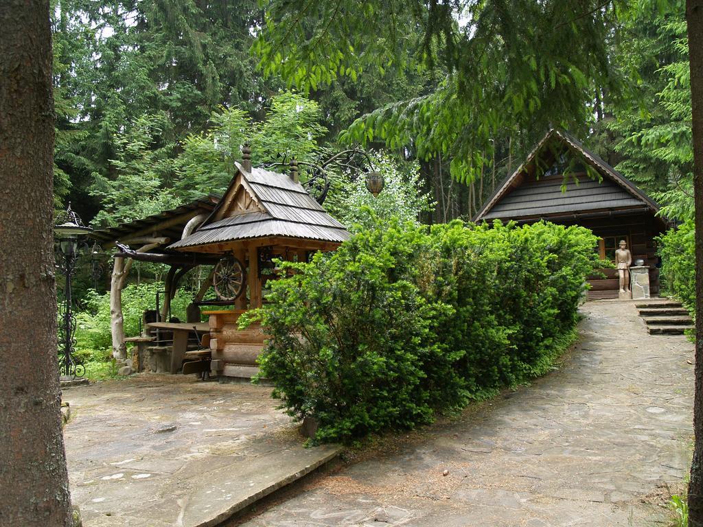 Osada Olenka Witow Villa Bagian luar foto